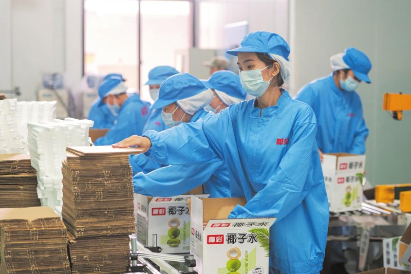 食品生产流程解析：从原料到成品的步步精雕
