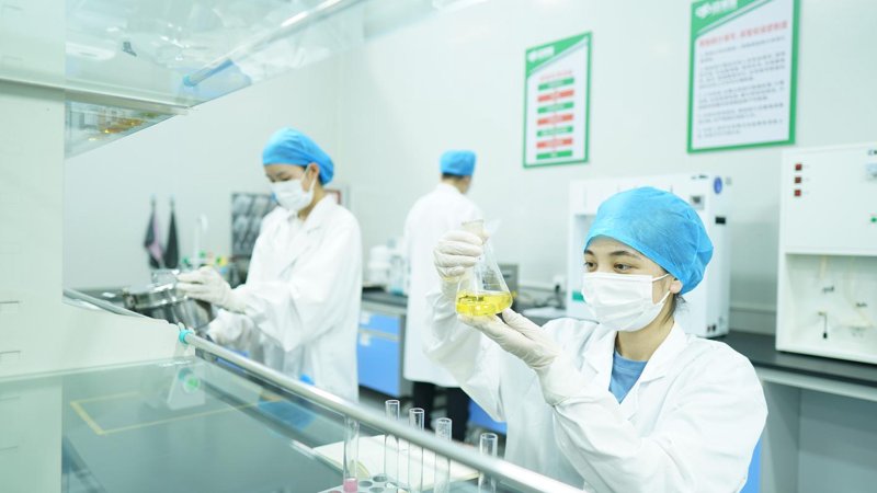 食品生产：如何保证品质与安全
